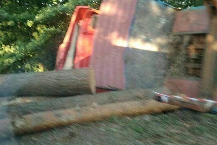 На Чернігівщині перевернулася вантажівка з лісом (Фотофакт)