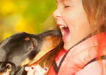 У Ніжині бродячий пес укусив дитину за обличчя