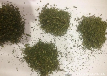 Жителя Бахмача затримали за збут марихуани землякам