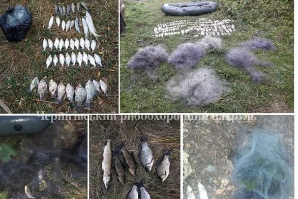 За тиждень браконьєри незаконно добули понад 80 кг риби