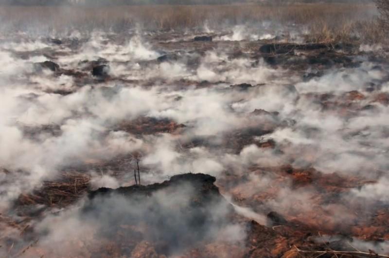 На Чернігівщині горять більше 10 га торфу