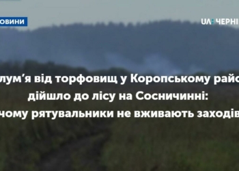 Полум’я від торфовищ у Коропському районі дійшло до лісу на Сосничинні: чому рятувальники не вживають заходів