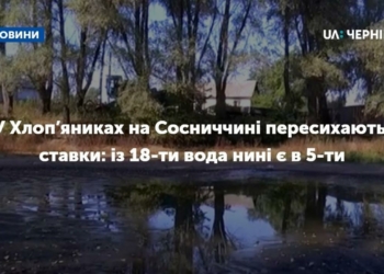 В Сосницькому районі пересихають ставки і колодязі: в селі Хлоп’яники з 18 ставків лишилось п’ять