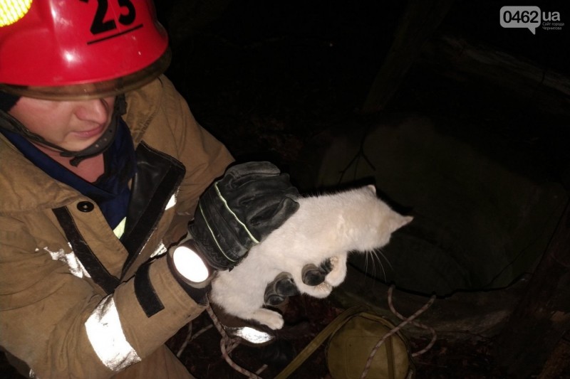 Шість діб в колодязі. Чернігівські рятувальники ризикували життям аби витягнути кошеня