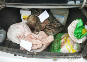 На Чернігівщині затримали вбивць червонокнижних лосів