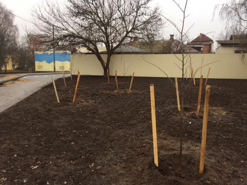 На вулицях Чернігова висадили сто нових дерев