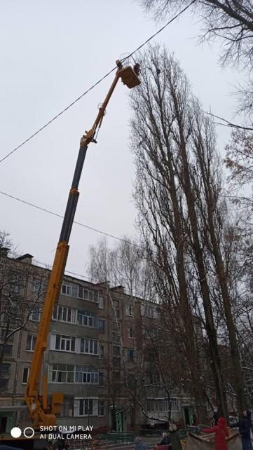 Чернігівські комунальники зняли з дерева кішку, що застрягла (Фото)