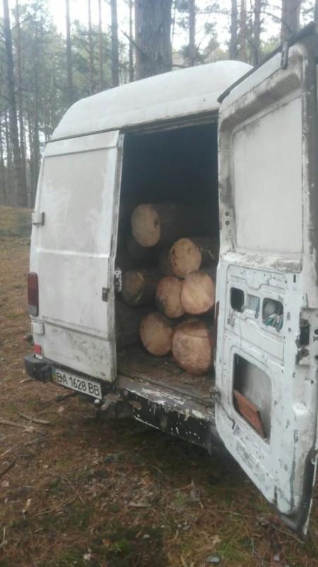 На Чернігівщині спіймали банду «чорних лісорубів»