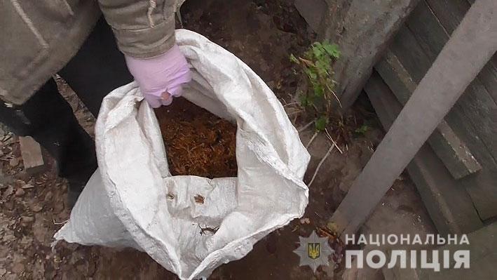 Промышленный масштаб: житель Черниговщины вырастил 25 тысяч кустов конопли