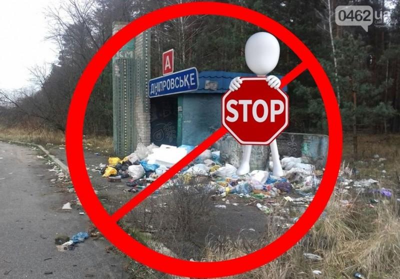 Водії – як свині. Узбіччя доріг в Чернігівській області завалені сміттям