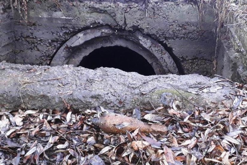 Небезпечні знахідки: міну та снаряд часів Другої світової знешкодили на Чернігівщині