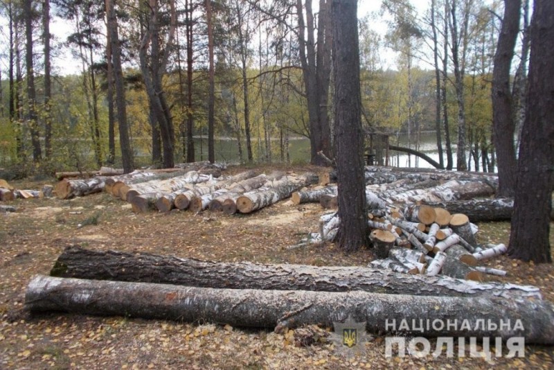 Поліція повідомила про підозру «чорному лісорубу» із Сосницького району