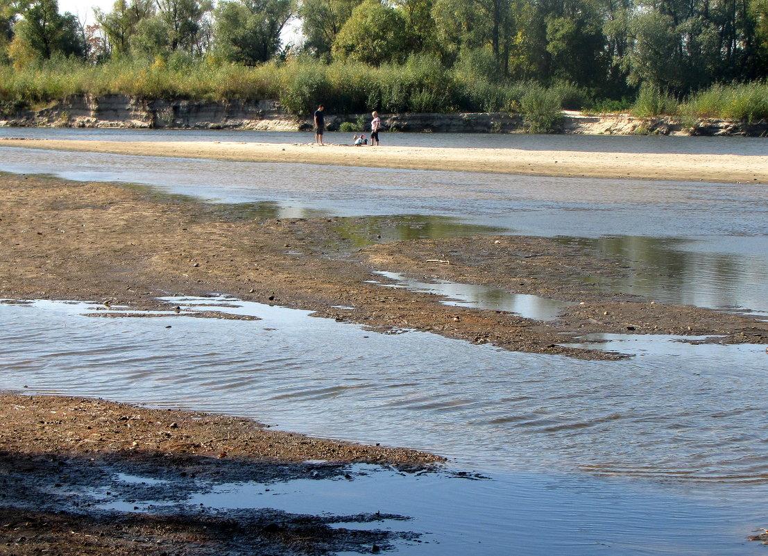 Вместо реки - болото: жители Чернигова могут потерять Десну