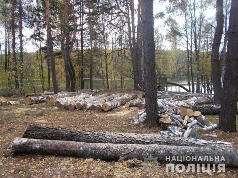 На Чернігівщині повідомили про підозру «чорному лісорубу»