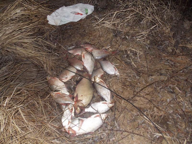 Трое в лодке, бобры и рыба: пограничники Черниговщины задержали браконьеров