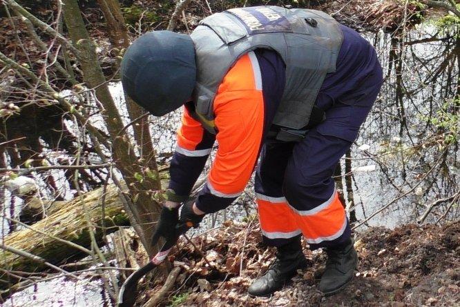 36 боєприпасів часів Другої світової знищили на Чернігівщині