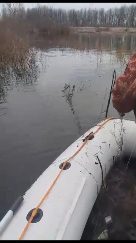 Свободу рыбе: незаконно пойманных обитателей озера на Черниговщине выпустили на свободу