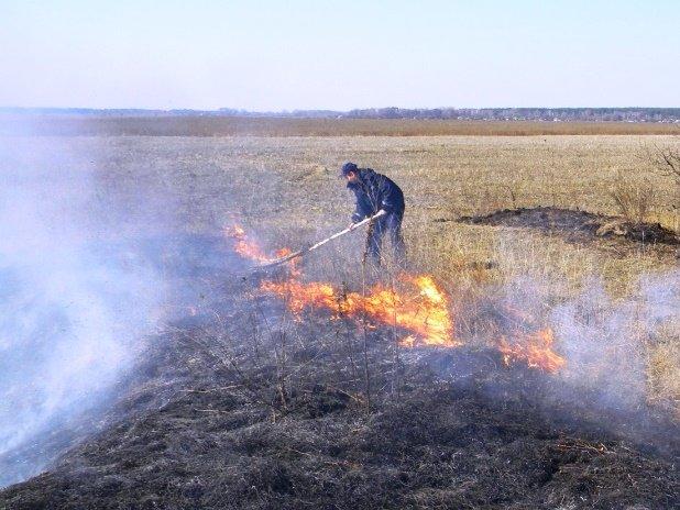 Наслідки теплої зими: на Чернігівщині вигоріло 6 гектарів полів