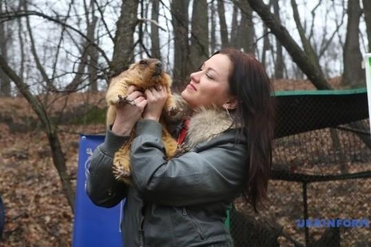 Харківський бабак Тимко зробив прогноз щодо весни і наступної зими