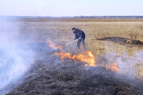 Упродовж минулої доби вогнеборці ліквідували 3 пожежі, що виникли у природних екологічних системах