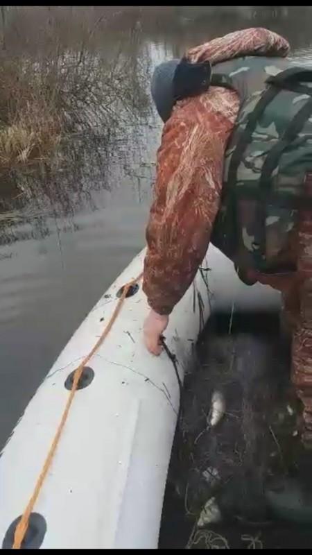Свободу рыбе: незаконно пойманных обитателей озера на Черниговщине выпустили на свободу