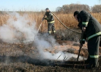 У Ніжинському районі горять торф’яники