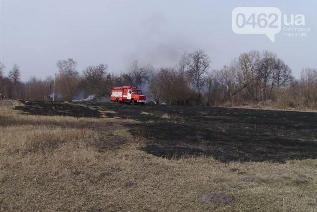 Чернігівщина у вогні: більше ніж пів сотні пожеж та 100 гектарів спаленої трави за добу