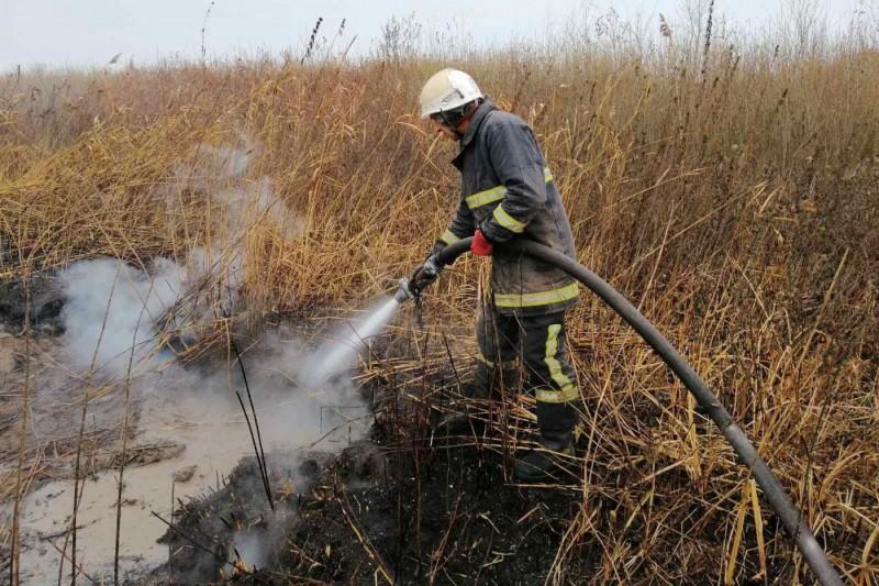 Через випалювання трави на Чернігівщині горить торфовище