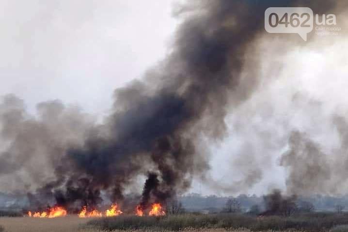 Не паліть траву! Через це в Чернігівській області за добу виникло більше 20 пожеж