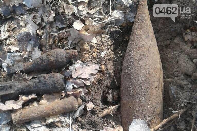 Отголоски Второй мировой войны: на Черниговщине нашли 9 боеприпасов