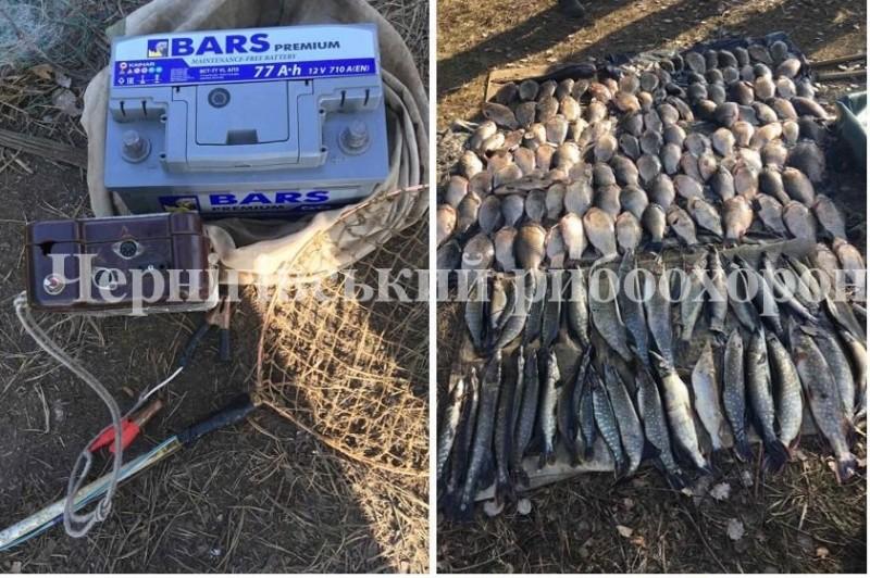 Чернігівським рибоохоронним патрулем на Городнянщині викрито електролов зі збитками понад 17 тис.грн