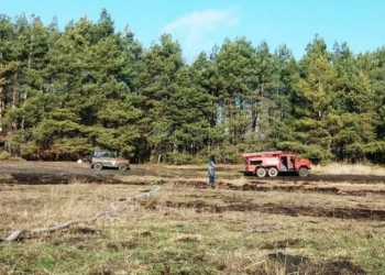 Пожежа на торфовищі ліквідована
