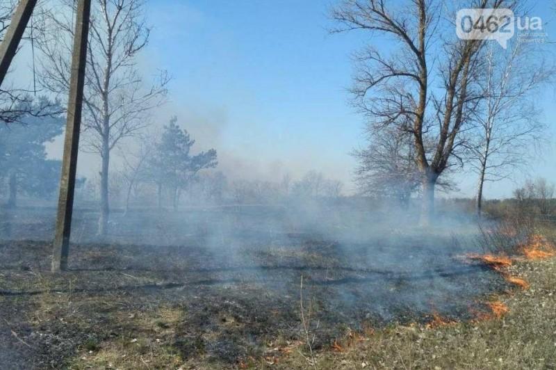 Чернігівщина у вогні: більше ніж пів сотні пожеж та 100 гектарів спаленої трави за добу