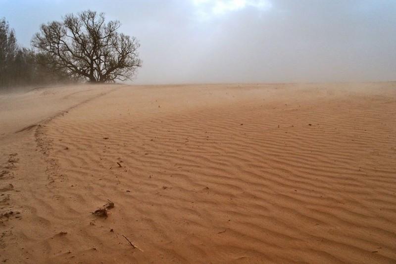 Замість Полісся буде пустеля: пилова буря «робить» погані прогнози для Чернігівщини