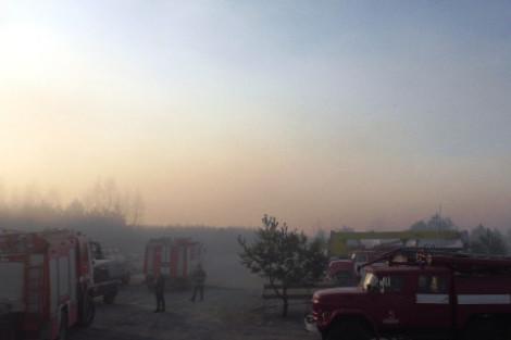 Триває ліквідація масштабної пожежі лісу в Козелецькому районі