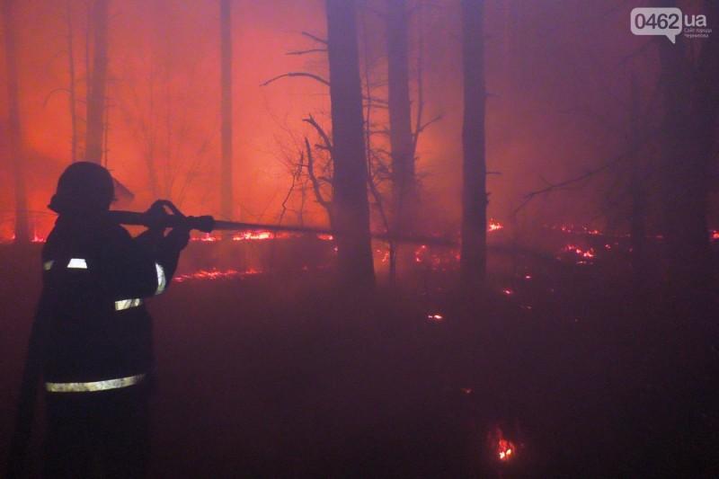 140 гектарів лісу горить на Чернігівщині: до гасіння залучили авіацію