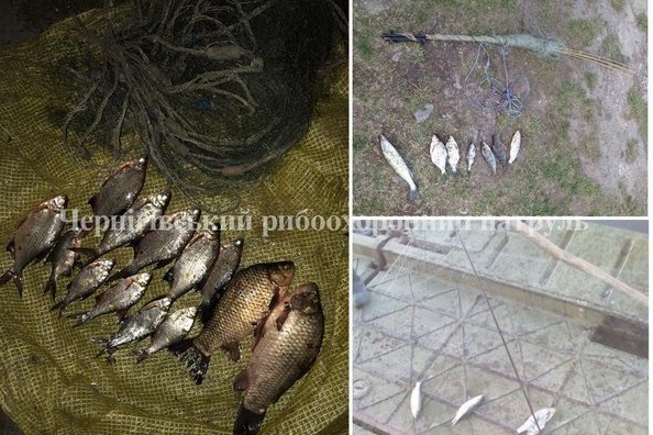 Чернігівським рибоохоронним патрулем протягом тижня виявлено 24 порушення Правил рибальства