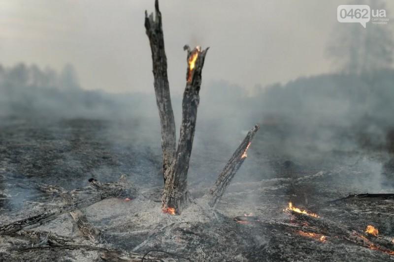 Палив сміття – згорів сам. В Чернігівській області – 32 пожежі за добу