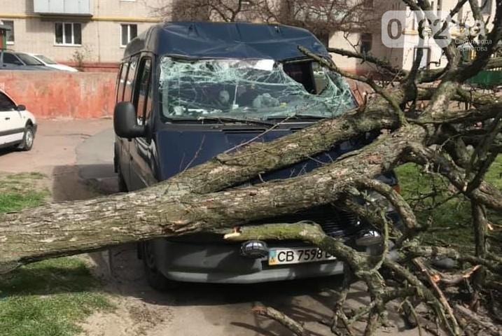 Буревій у Чернігові «атакував» два автомобілі (фото)