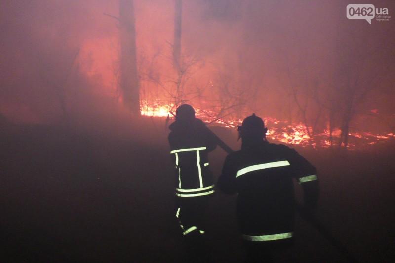 140 гектарів лісу горить на Чернігівщині: до гасіння залучили авіацію
