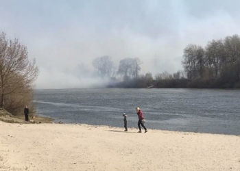 За пішохідним мостом у Чернігові горять поля (Відео)