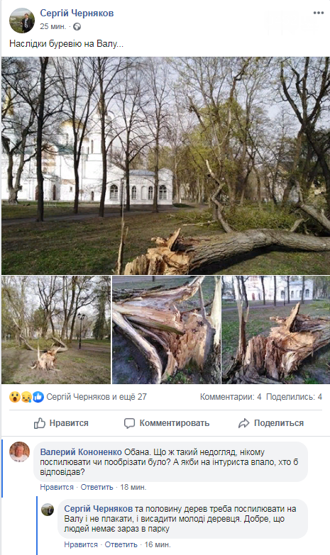 Наслідки буревію: у Чернігові на Валу впало дерево