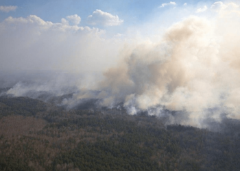 Лісівники п’яти районів Чернігівщини допомагають гасити пожежі на Житомирщині