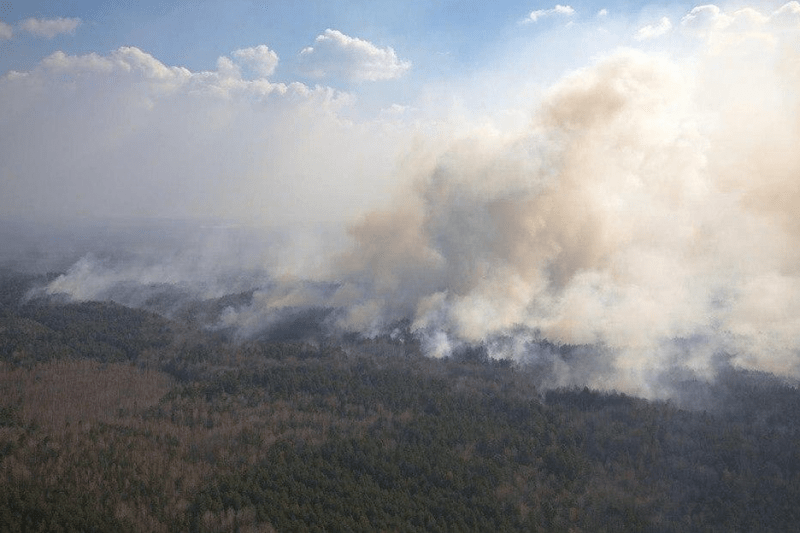 Лісівники п’яти районів Чернігівщини допомагають гасити пожежі на Житомирщині