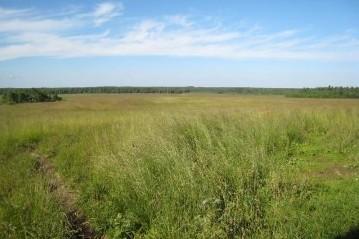 Прокуратура у суді вимагає розірвання договорів оренди землі вартістю 8,2 млн грн