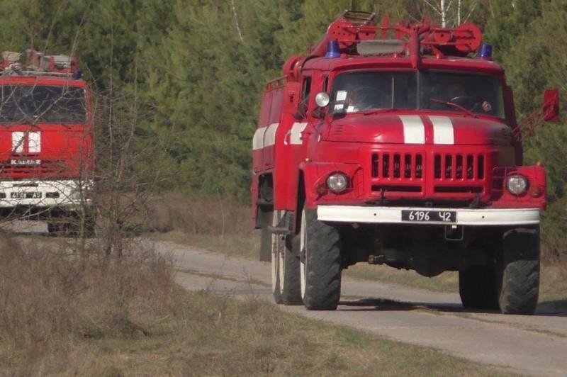 Масштабна пожежа: на Чернігівщині вигоріли 250 гектарів лісу та лугу