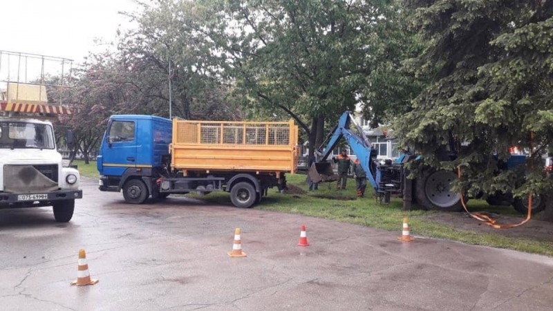 "Зеленбуд" поставив на розтяжки ялину, на яку жалілись чернігівці