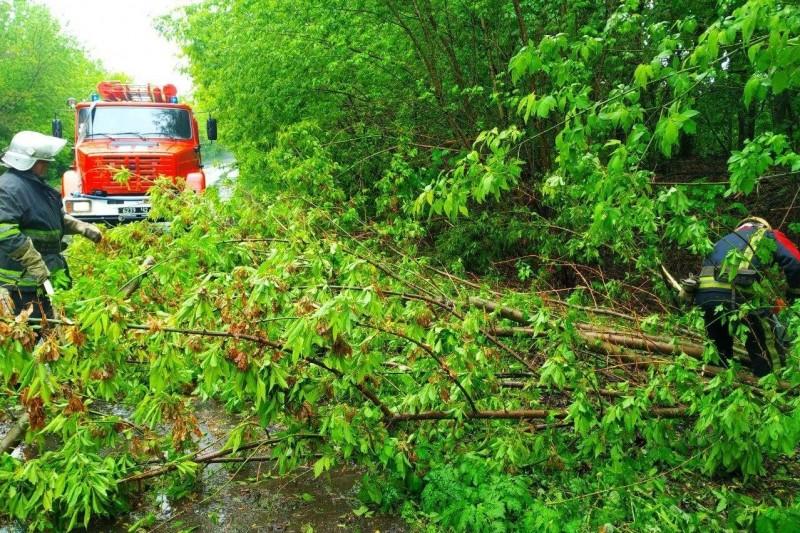 Автівка влетіла у дерево на Чернігівщині: рятувальники прийшли на допомогу