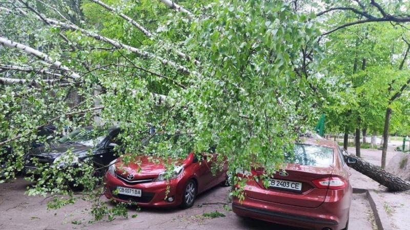 Буревій у Чернігові повалив одразу кілька дерев: є понівечені автівки