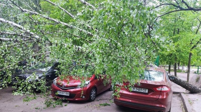 Буревій у Чернігові повалив одразу кілька дерев: є понівечені автівки